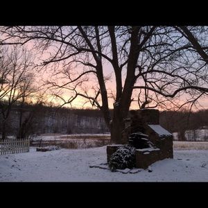 Meet your Posher, Bridget